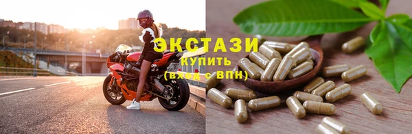 амф Гусев