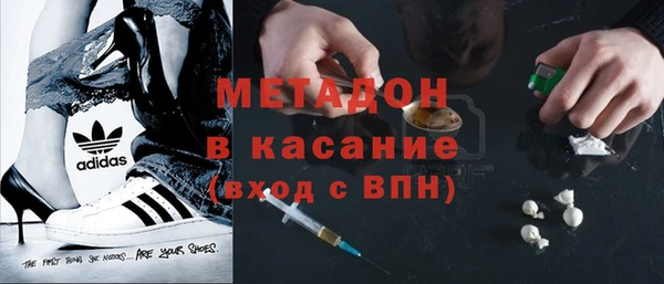 амф Гусев