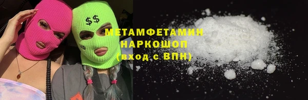 прущие грибы Гусиноозёрск