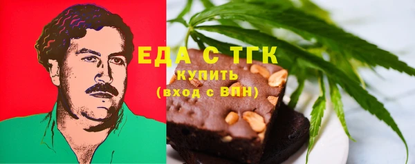 прущие грибы Гусиноозёрск