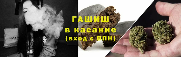 прущие грибы Гусиноозёрск