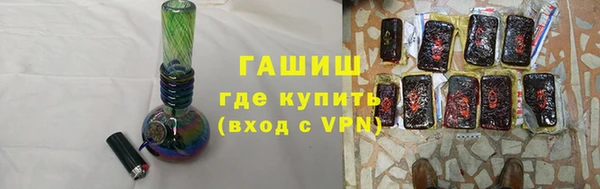 амф Гусев