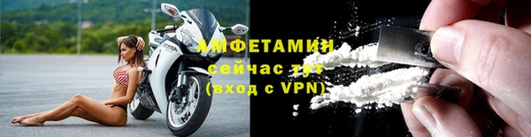 амф Гусев