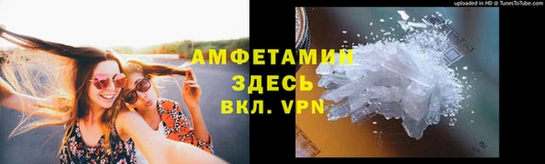 прущие грибы Гусиноозёрск