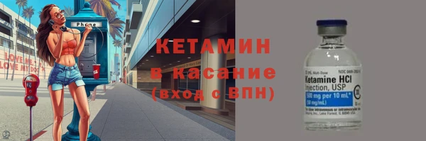 амф Гусев