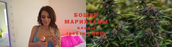 прущие грибы Гусиноозёрск