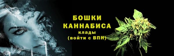 мдпв Гусь-Хрустальный