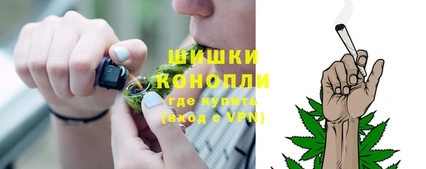 прущие грибы Гусиноозёрск