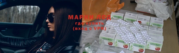 прущие грибы Гусиноозёрск