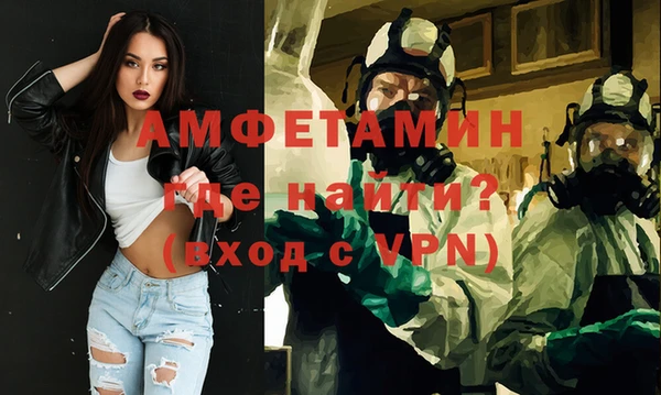 прущие грибы Гусиноозёрск