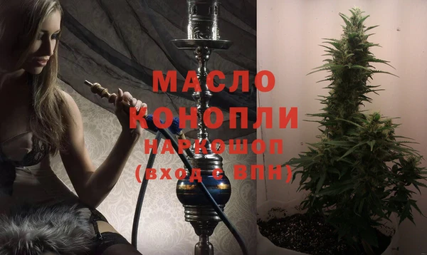 амф Гусев
