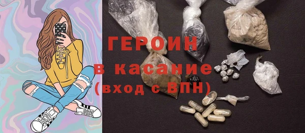 прущие грибы Гусиноозёрск