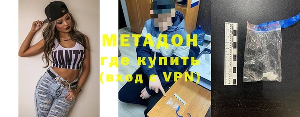 прущие грибы Гусиноозёрск