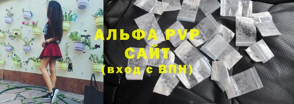 прущие грибы Гусиноозёрск