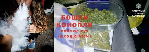 мдпв Гусь-Хрустальный