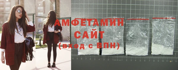 прущие грибы Гусиноозёрск