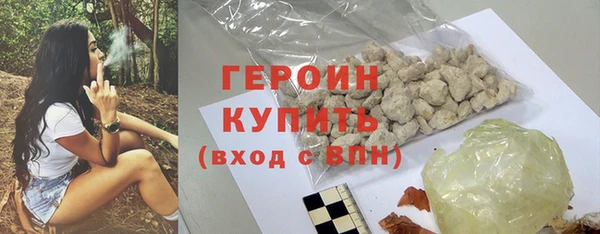 прущие грибы Гусиноозёрск