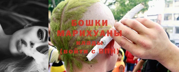 мдпв Гусь-Хрустальный