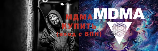 амф Гусев
