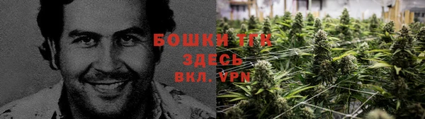 амф Гусев