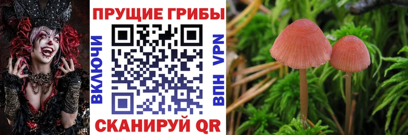 Псилоцибиновые грибы Magic Shrooms  ссылка на мегу зеркало  Дивногорск 