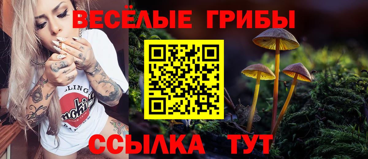 Галлюциногенные грибы мицелий  Псилоцибиновые грибы MAGIC MUSHROOMS  Дивногорск  Вход с VPN 