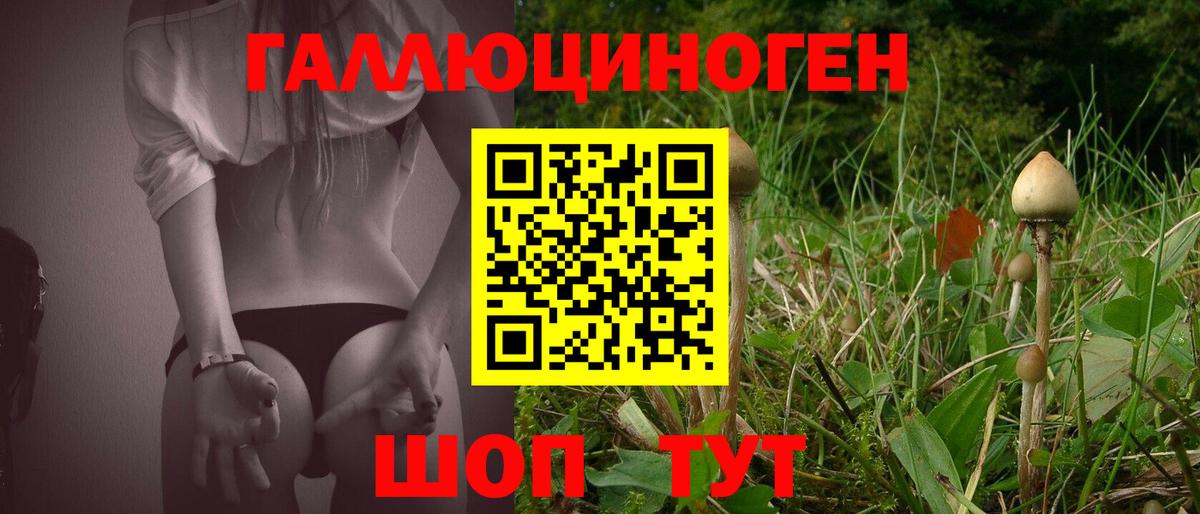 Галлюциногенные грибы ЛСД Дивногорск